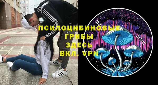а пвп мука Белокуриха
