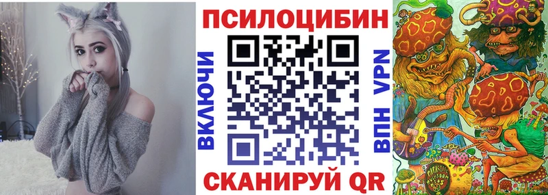 где купить наркоту  Гулькевичи  Псилоцибиновые грибы Cubensis 